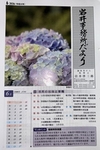 【岩井事務所だより】６月号「副業や兼業している社員の税務上の注意点」