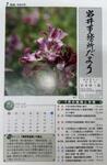 【岩井事務所だより】７月号「設備投資に関する税制」